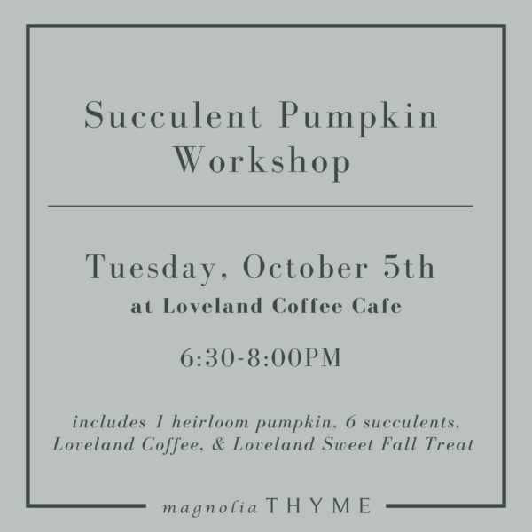 Succulent Pumpkin Workshop