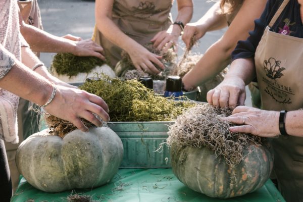 Succulent Pumpkin Workshop - Image 4