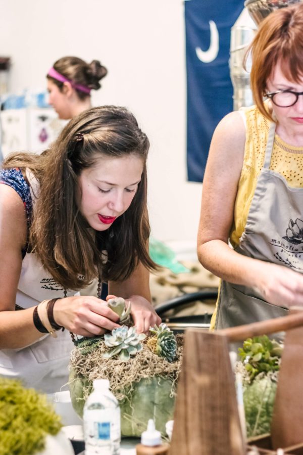 Succulent Pumpkin Workshop - Image 3