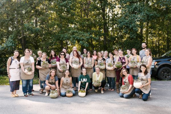 Succulent Pumpkin Workshop - Image 2