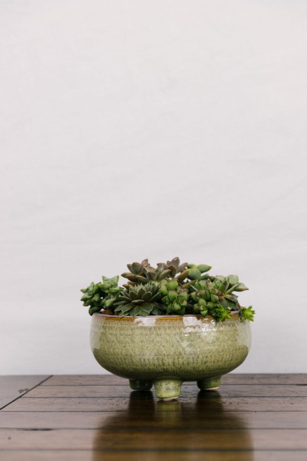 Green Bowl Succulent Planter #2