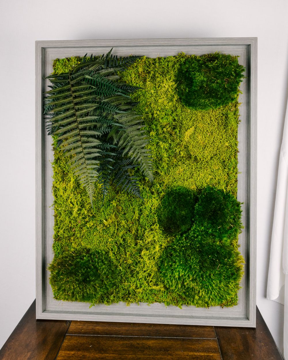 Large Moss Art 1   Large Moss Art 1 