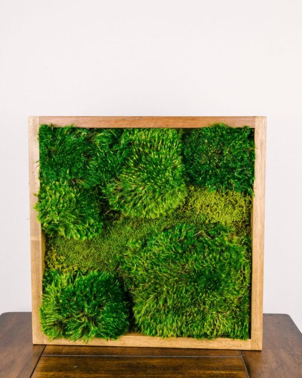 Large Moss Art #3