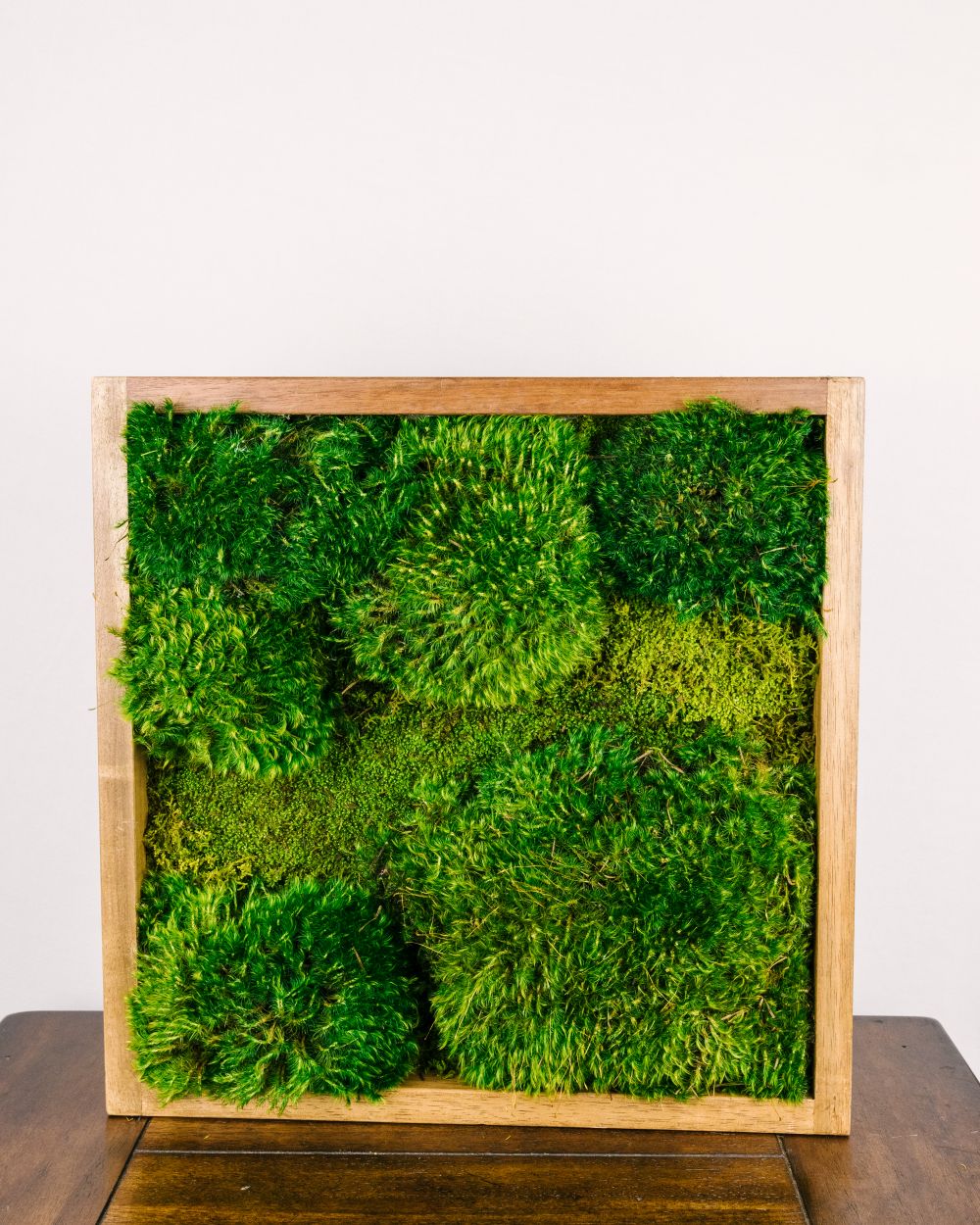 TIHOOD 30 PCS 3 Size Artificial Moss Rocks Decorative, Green Moss