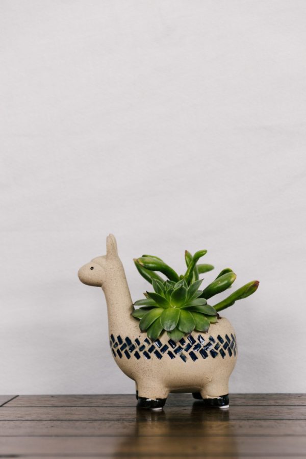 Llama Succulent Planter