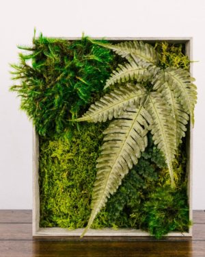 Medium Moss Art #1