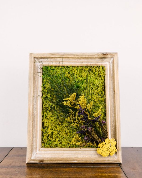 Medium Moss Art #10