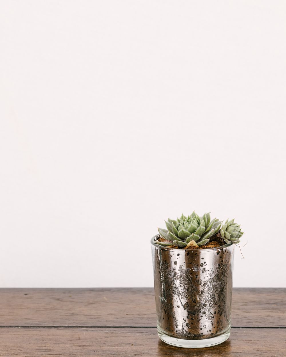 Mini Succulent Planter #8